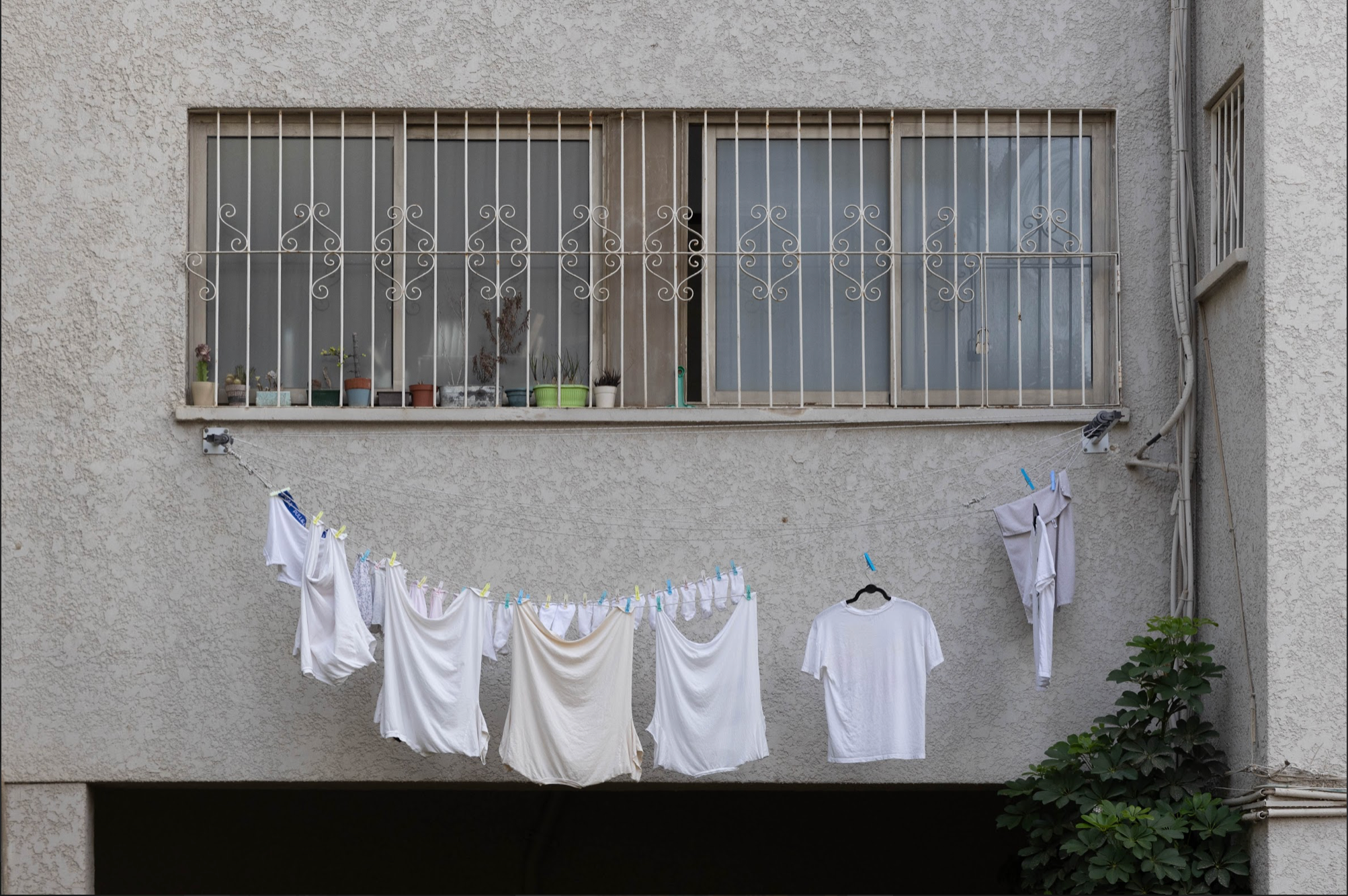 Laundry day